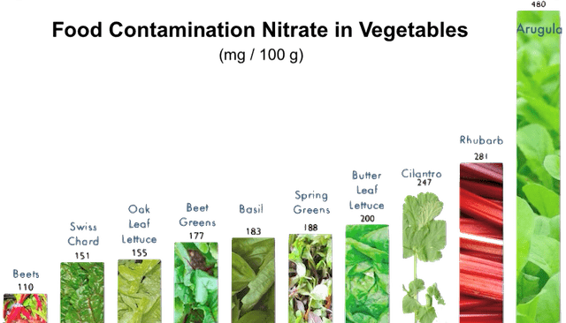 Food Contamination Nitrate in Vegetables