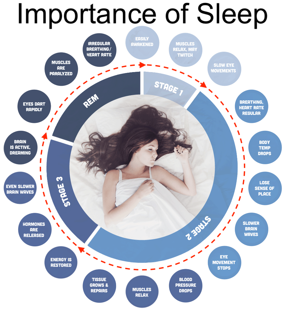 Importance of Sleep - SleepAdvice clinic & more